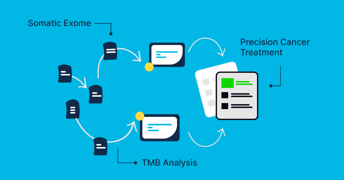 From Mutation To Medicine: How Somatic Exome Sequencing And TMB Analysis Guide Precision Cancer Treatment