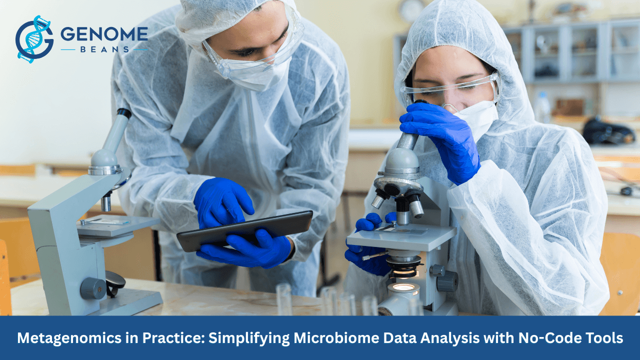 Metagenomics In Practice: Simplifying Microbiome Data Analysis With No-Code Tools